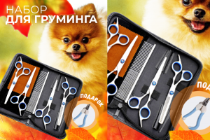 Дизайн карточки