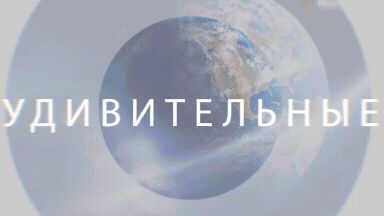 img4066218.png