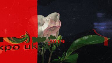 img4055897.png