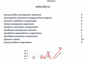 Продвижение интернет-магазина спорттоваров