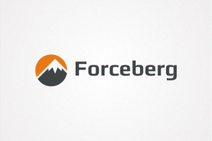 Forceberg