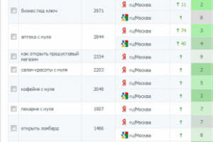 Открытие бизнеса - трафик/позиции