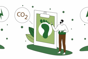 Сет иллюстрация