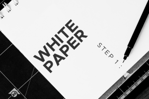 Разработка White Paper для крипто