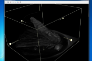 Программный пакет и SDK для 3D-реконструкции