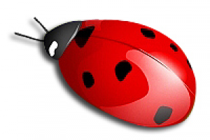 Перспективная работа