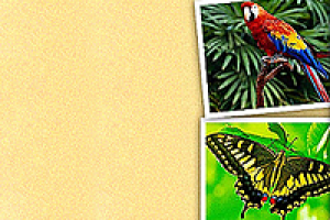 Мадагаскар