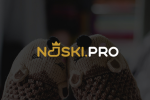 Носки про логотип