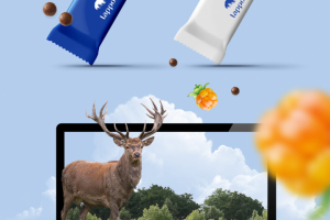 Фирменный стиль Лаппоника