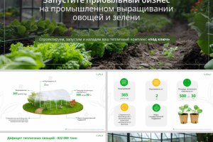 Запуск бизнеса по выращиванию овощей /растений