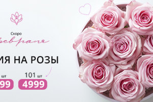 Баннер цветы