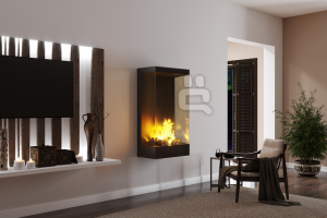 Визуализация биокамина