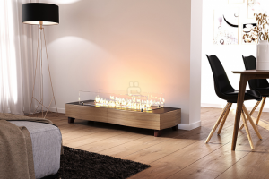 Визуализация биокамина