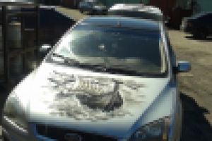 Работа 2523842