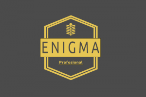 Работа 3687672