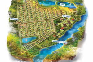 визуализация карты ДНТ