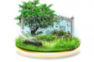 Тизер "Кованные заборы"