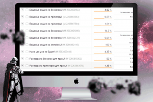 Конверсия до 16,7% по РСЯ на тем. площадках по объявлениям.
