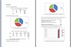 Биз-кейс повыш дохода от конкура на ипподроме