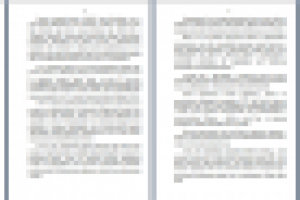 Бизнес- кейс авиакомпании лоукостера из США