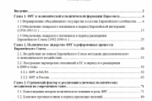 Магистерская диссертация по политологии -1