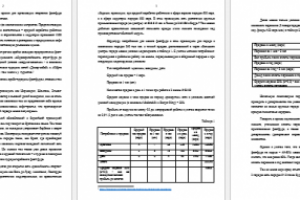 Консультация фастфуду во Франции