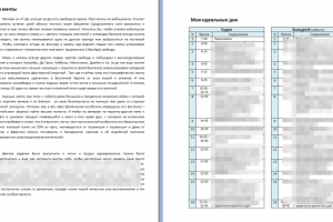 Эссе на темы: Мои мечты и Мои лучшие дни - демоверсия