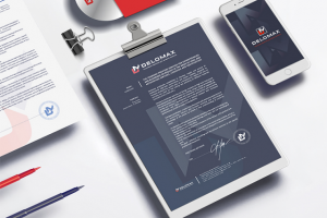 Фирменный стиль компании "Деломакс"