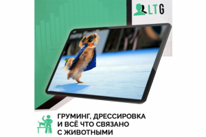 Лиды для груминга / Оплата только за лиды