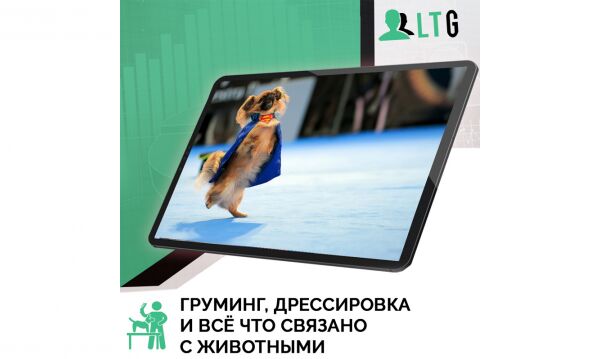 img4341987.png