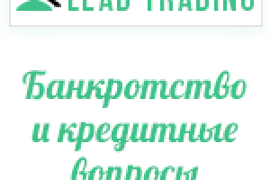 Лиды по банкротству и кредитным вопросам / Оплата только за лиды