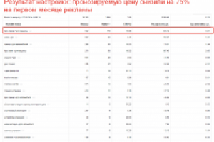 Я.Директ ниша Мониторинг транспорта