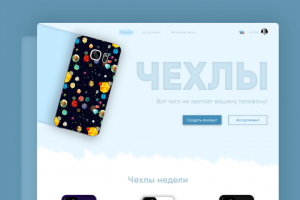 Интернет-магазин чехлов