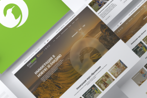 Сайт для агентства по переезду в Новую Зеландию