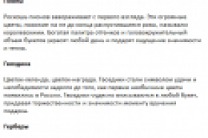 Описание товаров для интернет магазина цветов