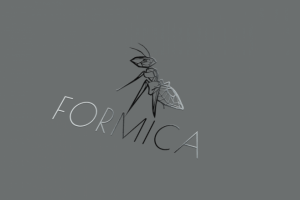 Логотип для одежды Formica. Брендинг