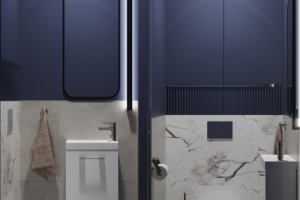 Дизайн санузла