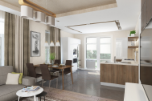 кухня-гостиная в частном доме