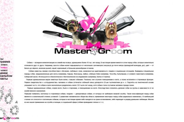 img513282.png
