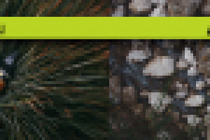 Аватарка в вК