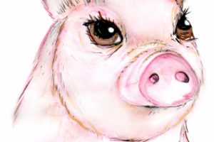 Иллюстрация свинья