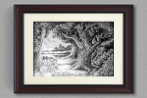 Под сенью дуба