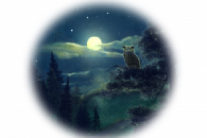 Лес.Для сборника детских стихотворений