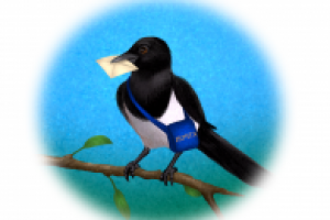 Сорока почтальон. Для сборника детских стихотворений