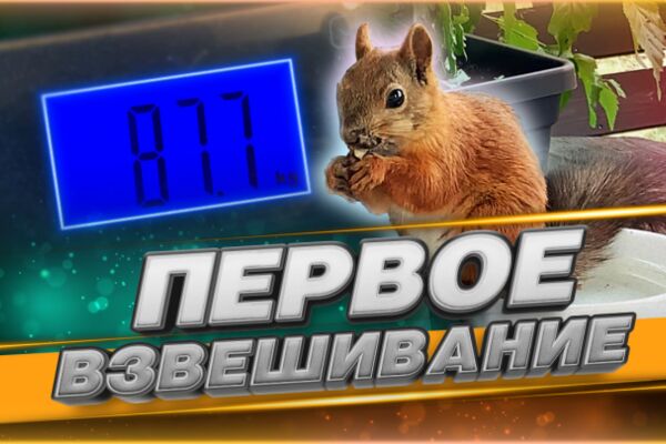 img4309290.png