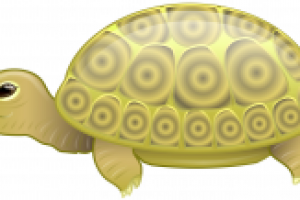 Черепаха. Векторная графика.