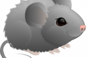 Мышонок. Векторная графика.