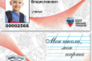 ЦЕНТР ШКОЛЬНЫХ ТЕХНОЛОГИЙ (карта-пропуск)