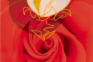 Макро-С – конфетная коробка