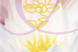 Макро-С – конфетная коробка